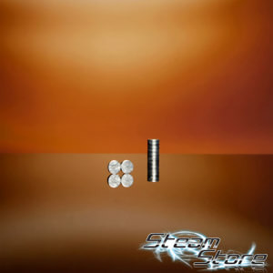 (2x) Efest Pluspol Magnete