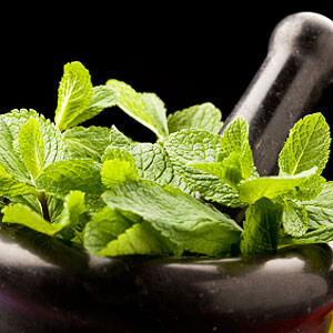 Aroma FlavourArt Spearmint