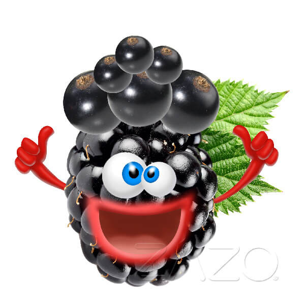 ZAZO Crazy Berries