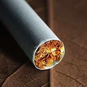 FlavourArt Cub. Supreme