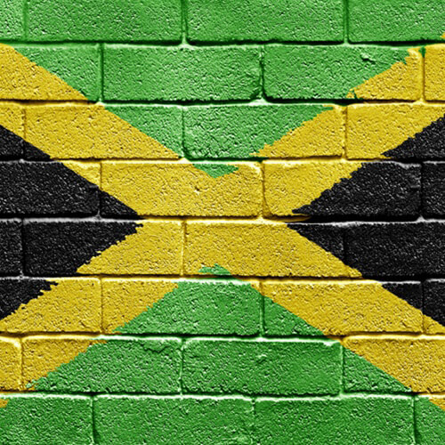 Liquid Pink Spot Jamaican Me Crazy