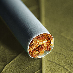 FlavourArt Cam Blend