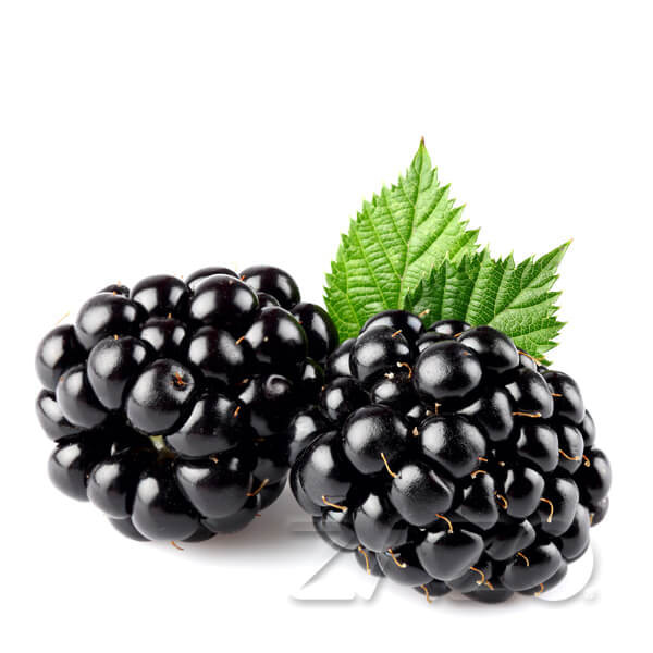ZAZO Blackberry